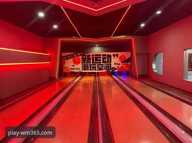 完美体育365wm专属空间 vs 传统娱乐平台：哪个更适合你的深度体验需求？